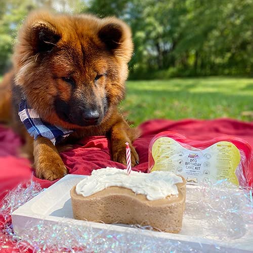 Dog Birthday Cake Kit - Banana