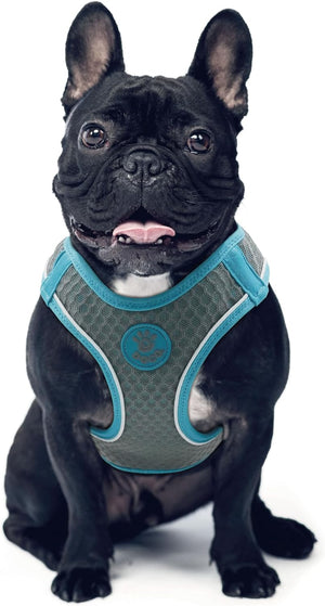 Doco Mesh QUICK FIT Pet Harness, Gray