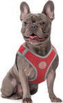 Doco Mesh QUICK FIT Pet Harness, Maroon