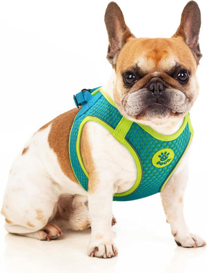 Doco Mesh QUICK FIT Pet Harness, Turquoise