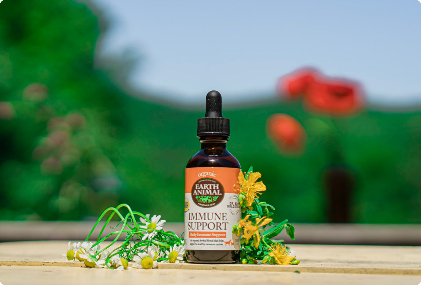 Immune Support Organic Herbal Remedy