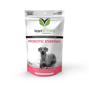 Gut Health Supplement for Dogs Chews - Probiotic Everyday