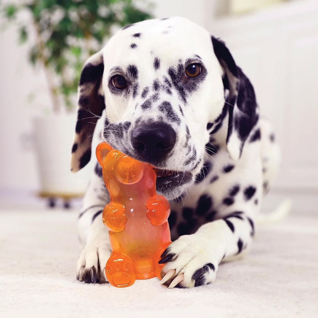 Spunky Bear Interactive Squeaky Dog Toys