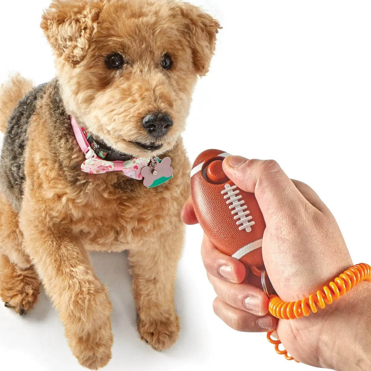 Training Clicker for Dogs -Hot Dog, Football or Bone