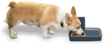 Pet Feeder, Digital Meal