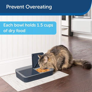 Pet Feeder, Digital Meal