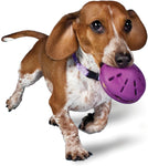 PetSafe Busy Buddy Twist 'n Treat