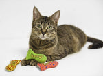 Yeowww! Stinkies Catnip Toys