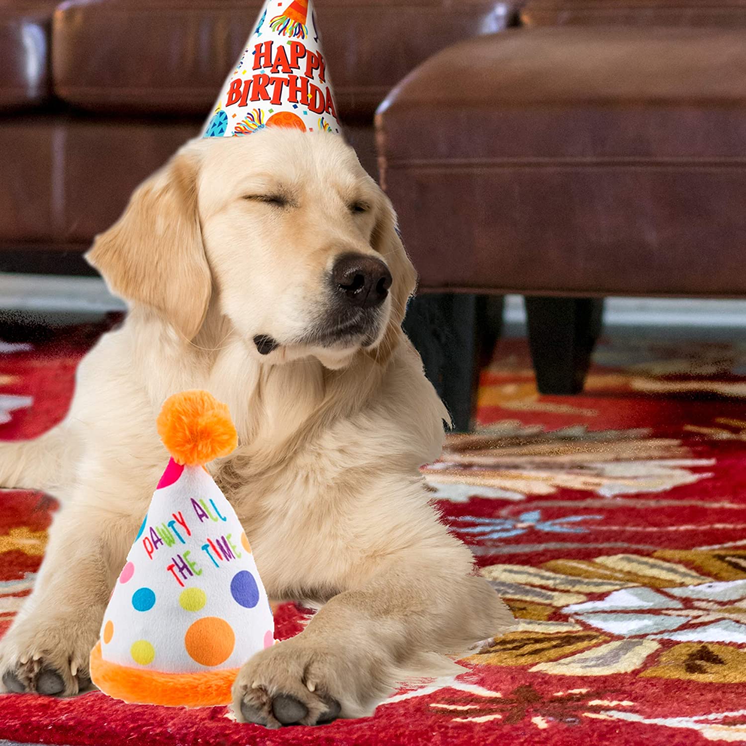 Happy Birthday Pawty Hat Dog Toy