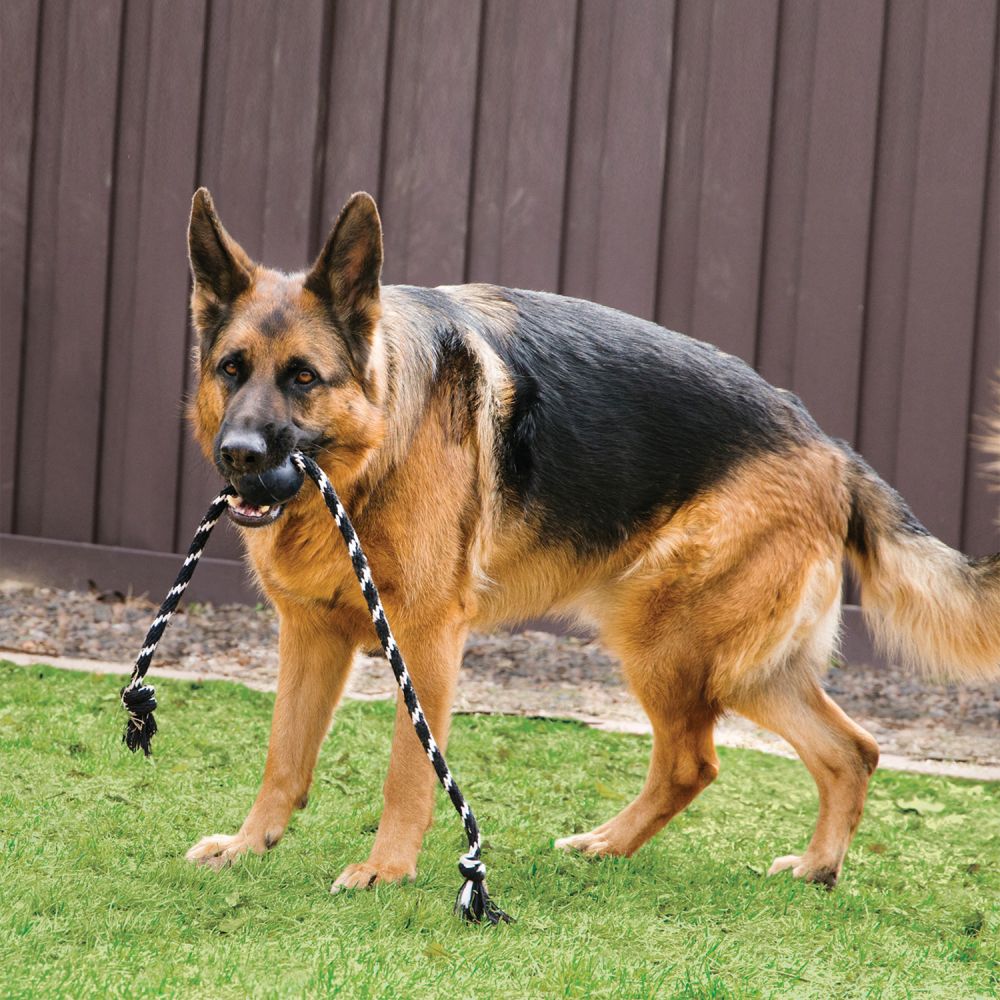 Extreme Ball w/Rope for Dogs