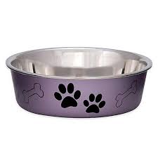 Bella Matte and Stainless Steel Pet Dish, Grape