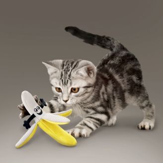 Banana Cat Toy