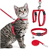 Cat Harness & Leash Combos