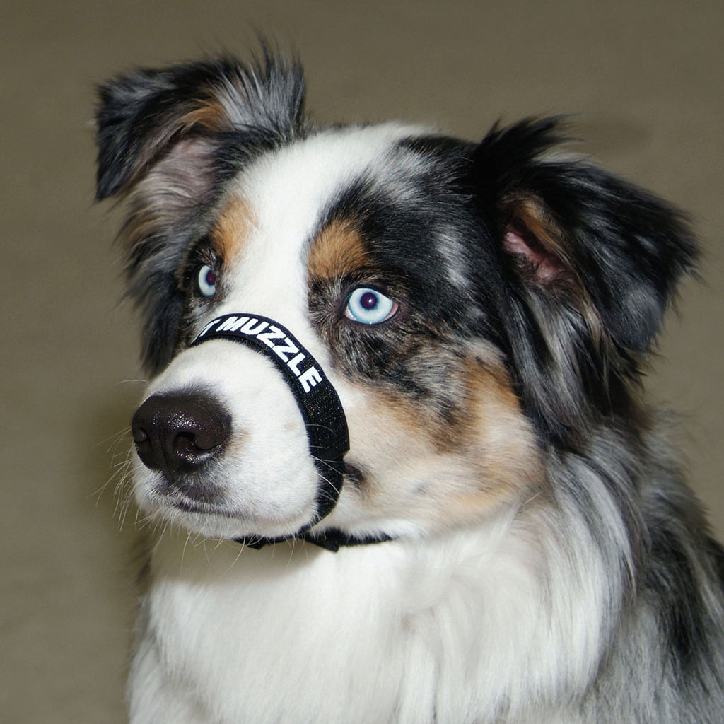 Muzzle for Dogs, Adjustable Comfort