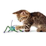 Crackles Grasshopper Cat Toy by Kong