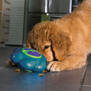 Flipz Treat Dispenser for Dogs