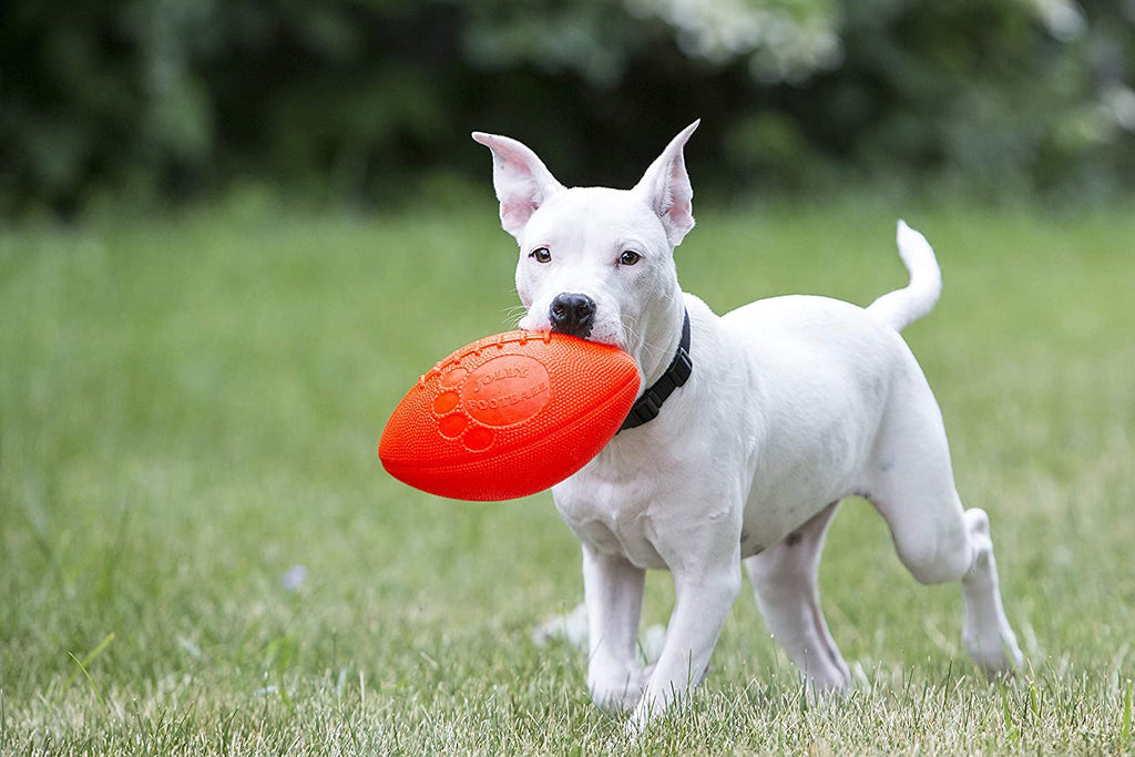 Football for Dogs