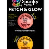 Fetch & Glow Ball for Dogs