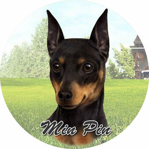 Miniature Pinscher Car Coaster