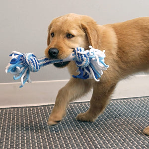 Puppy Rope Toy