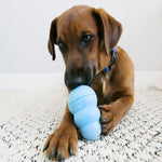 Kong Puppy Available in Blue or Pink