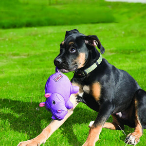 Phatz Hippo Dog Toy