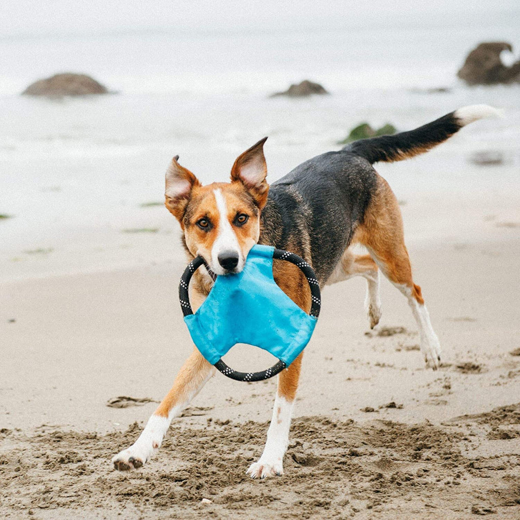 ZippyPaws - Rope Gliderz Durable Outdoor Dog Toy Flying Disc