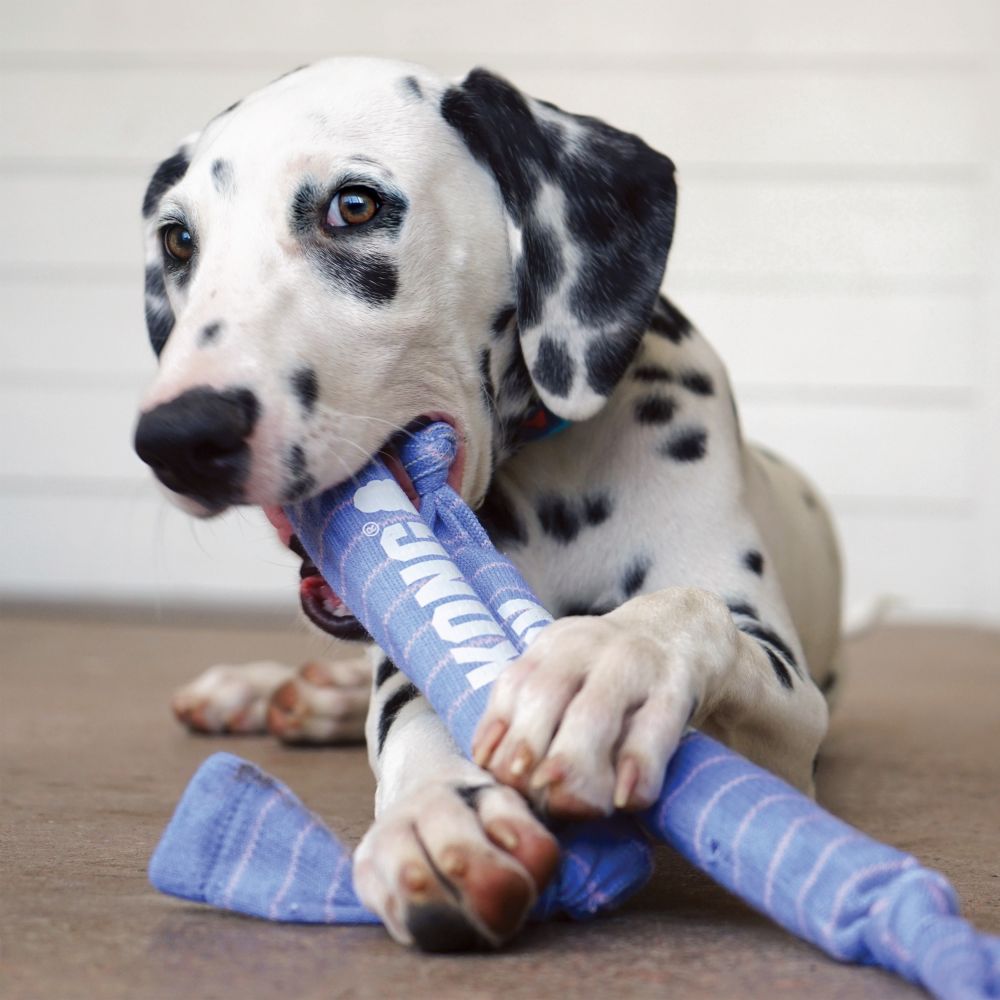 Puppy Crunch Rope Toy