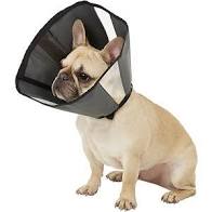 Soft Cone Recovery Collar for Dogs & Cats