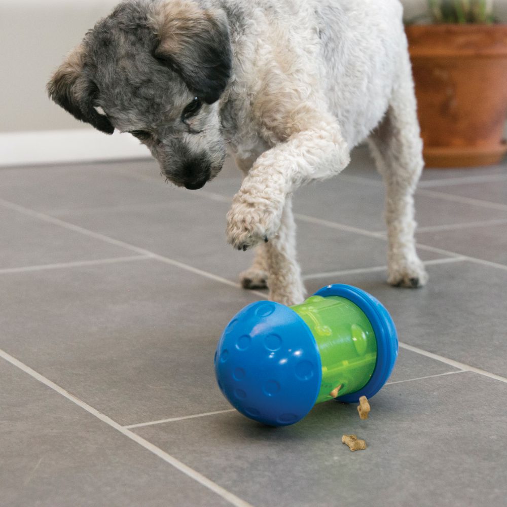 Spin It Treat Dispenser by Kong