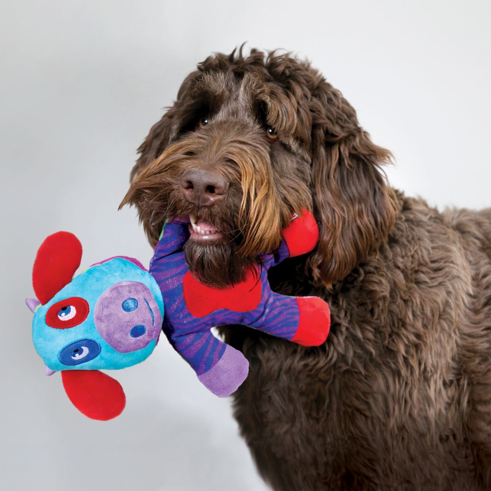 Switcheroos Dog Toys