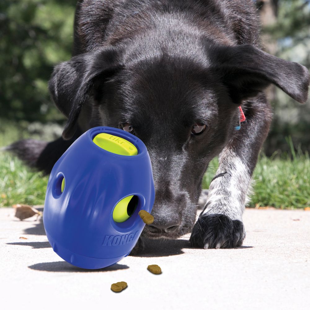 Tikr Treat Dispenser by Kong