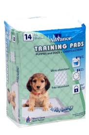 Training Pads for Dogs