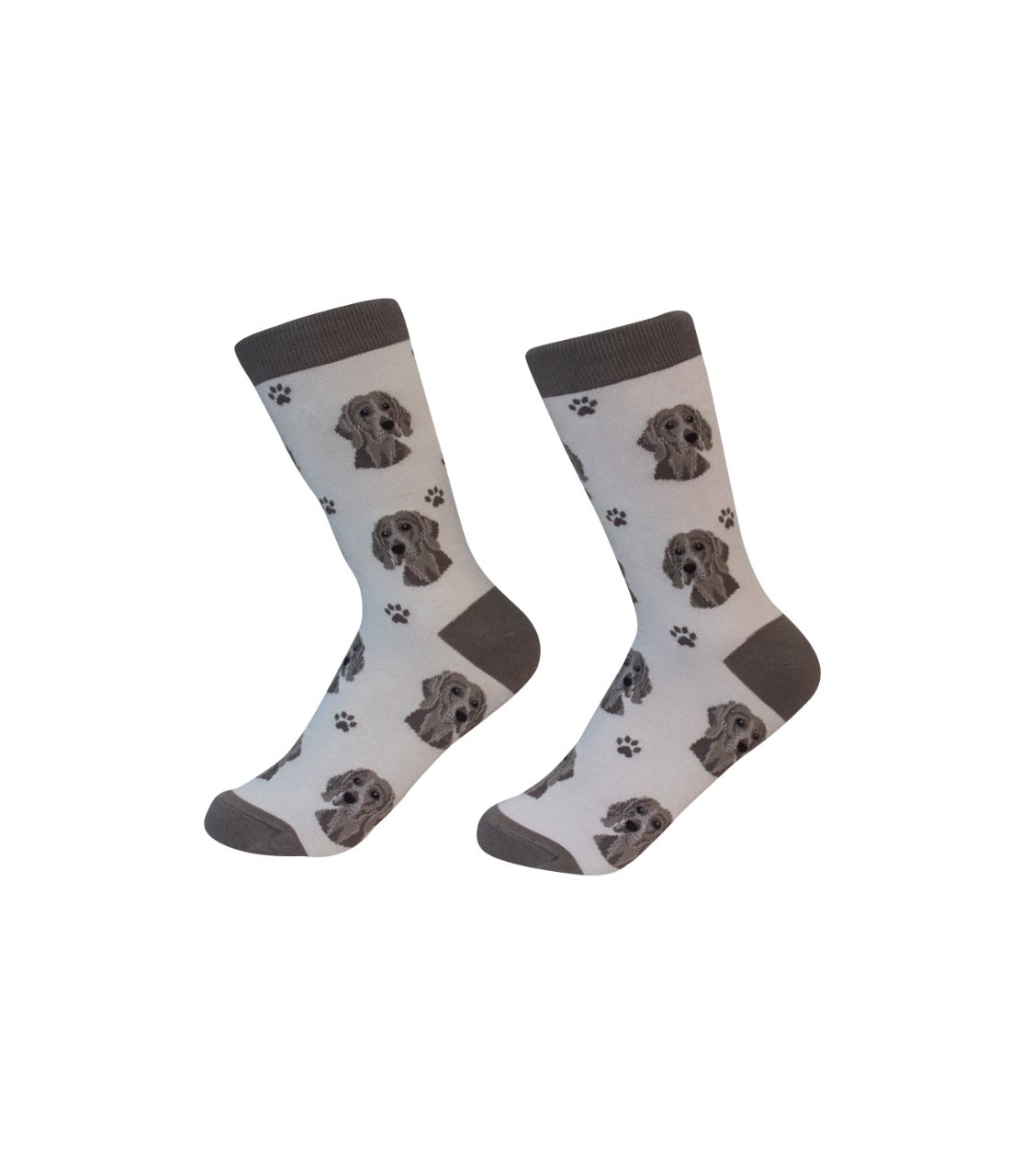 Weimaraner Socks - Unisex