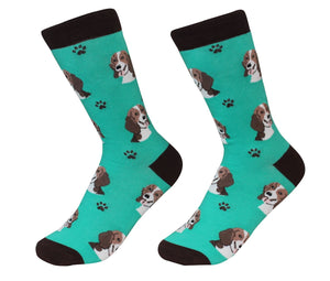 Beagle Socks - Unisex