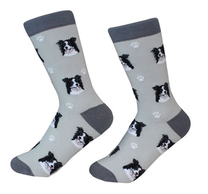 Border Collie Socks - Unisex