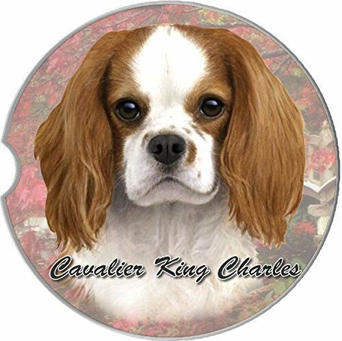 King Charles Cavalier Car Coaster