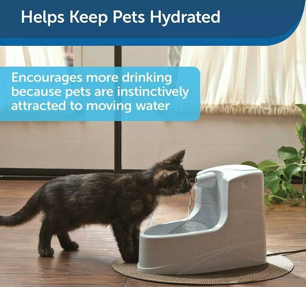 Mini Pet Fountain for Cats & Dogs