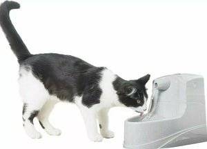 Mini Pet Fountain for Cats & Dogs