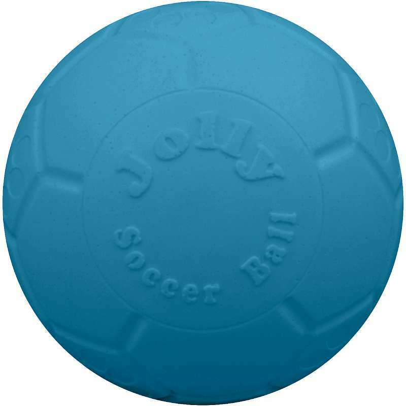 Dog Soccer Ball Toy - Blue