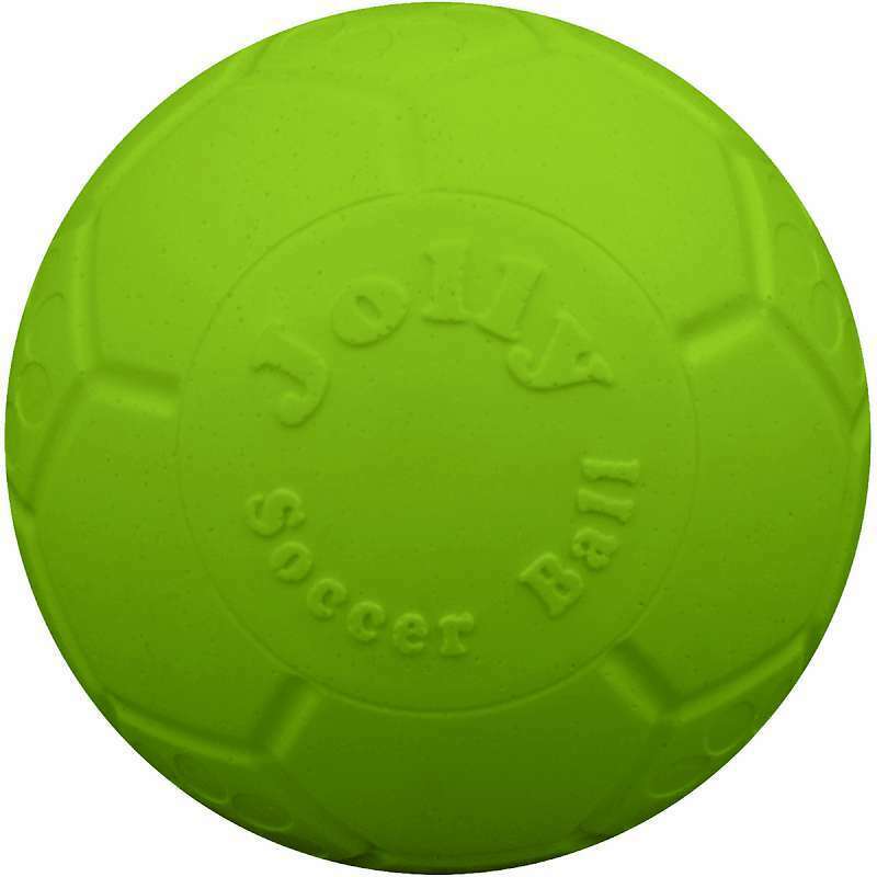 Dog Soccer Ball Toy - Green