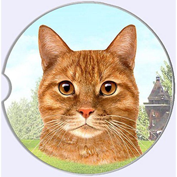 Orange Tabby Cat Car Coaster