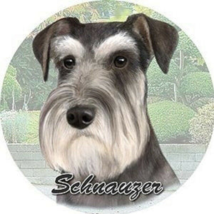 Schnauzer (Uncropped) Car Coaster