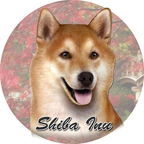 Shiba Inu Car Coaster