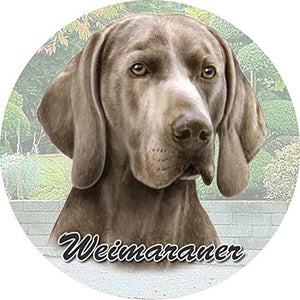 Weimeraner Car Coaster